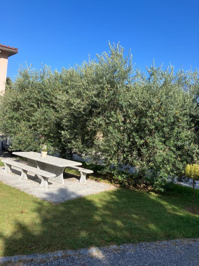 Residenza Giovanni Contone ภายนอก รูปภาพ